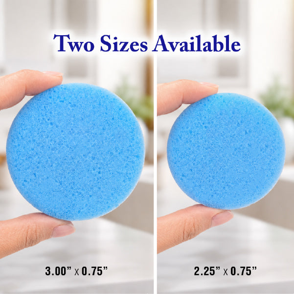 Foam Sponge Applicator 6-Pack